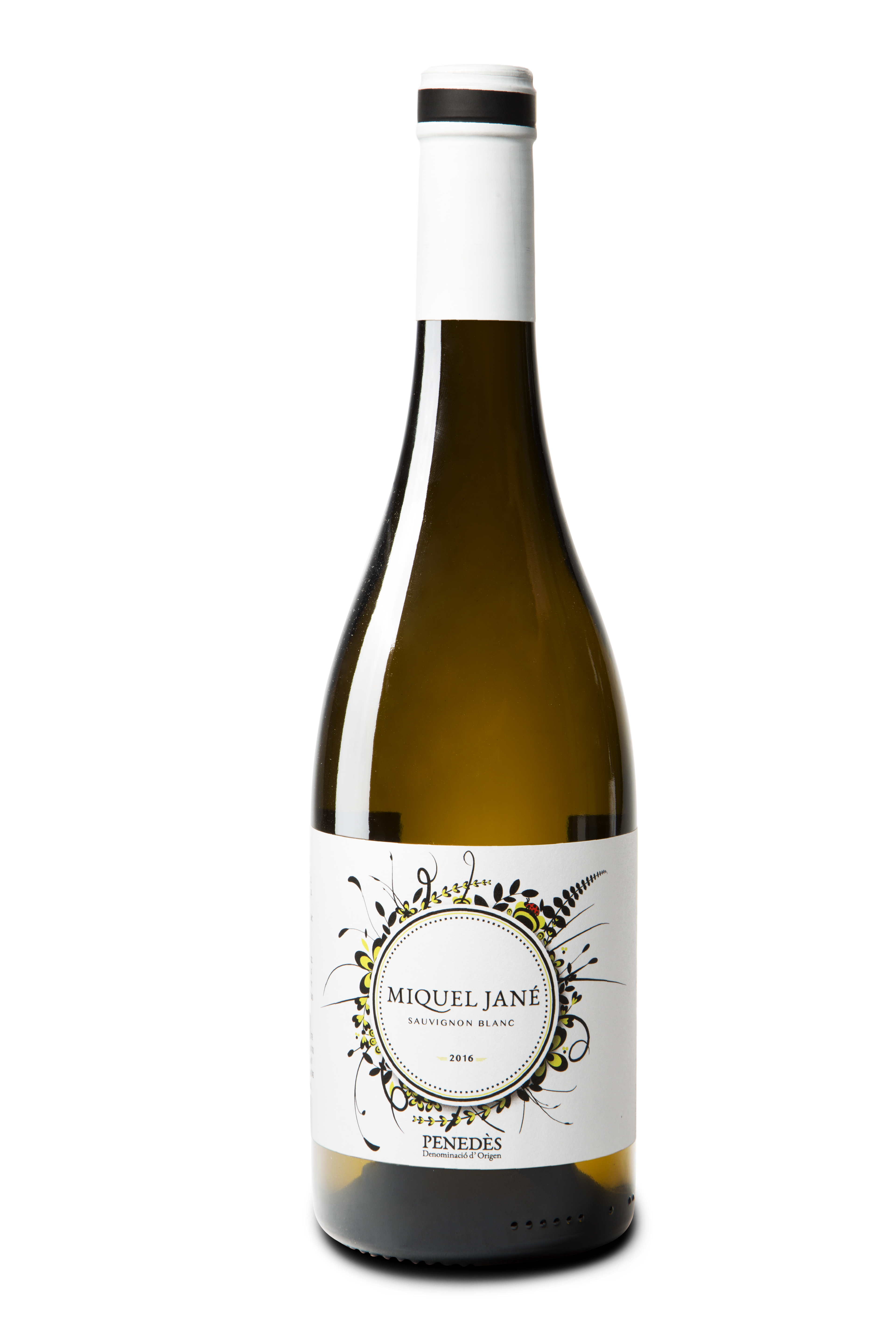 Logo Wein Miquel Jané Sauvignon Blanc